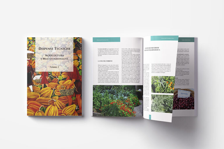Realizzazione brochure, riviste e company profile con design professionale